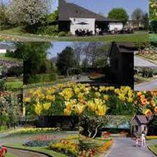 Image result for Bideford Bowling Club