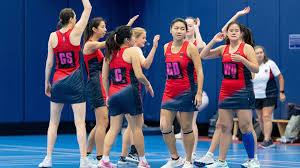 Image result for Hn Ladies Netball Club