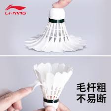 Image result for Shuttlecocks Badminton Club
