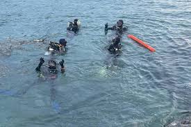 Image result for Looe Diving Club