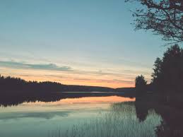 Image result for borte h