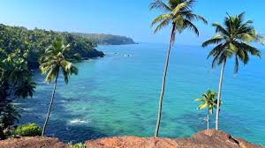 Image result for goa beaches