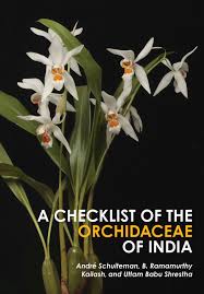 Attēlu rezultāti vaicājumam “Orchidaceae”