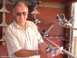 Image result for Abbeyton & Broomfield Racing Pigeons