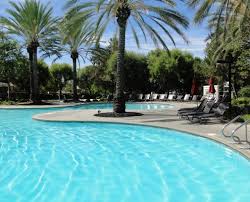 Image result for Calverton Swimming Club