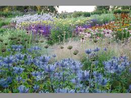 Image result for Piet Oudolf