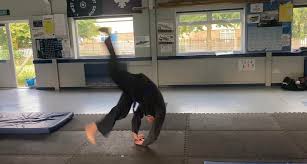 Image result for INTERNATIONAL HAPKIDO TAMWORTH