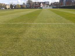 Image result for West Herts Cricket Club