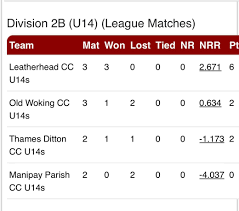 Image result for Old Woking Cricket Club