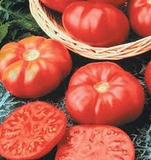 Afbeeldingsresultaat voor caspian pink tomato