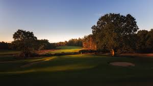 Image result for Hankley Common Golf Club