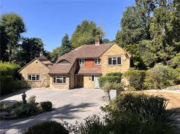 Image result for Dorking Lawn Tennis Club