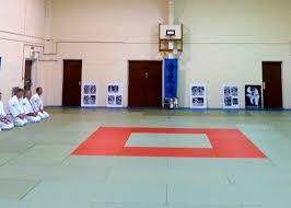Image result for Sho Shin Kan Aikido Club