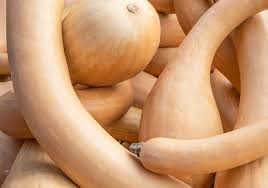 Image result for tromboncino