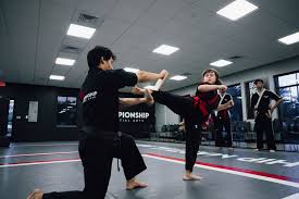 Image result for Championship Martial Arts Winter Springs