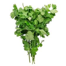 Image result for Koriander