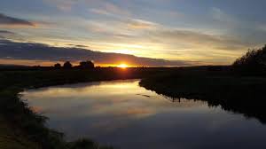 Image result for Taunton Angling Association