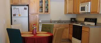 Image result for D.A.R.E!! Development + RadiMate II