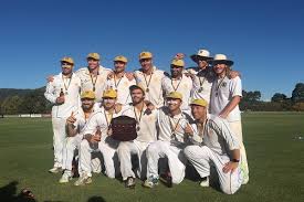 Image result for Old Dorkinian Cricket Club