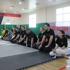 Image result for Bridge Hall Bujinkan Dojo