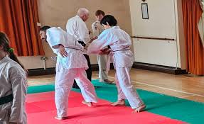 Image result for Ryusui-ryu Martial Arts School East Grinstead