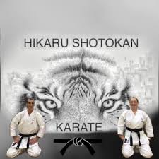 Image result for Northern Freestyle Karate Association