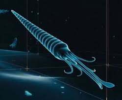 Attēlu rezultāti vaicājumam “Endoceras”