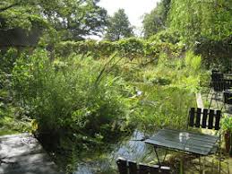 Image result for Priona Tuinen