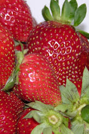 Attēlu rezultāti vaicājumam “Fragaria viridis fruit”