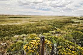 Image result for Slough