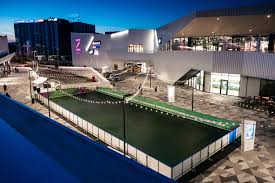 Image result for Roller Skating Rinks In The Uk