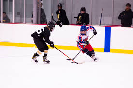 Image result for Tynemouth Hockey Club