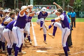 Image result for Lions Softball Club