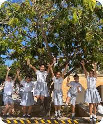 Image result for St Michael's Junior Badminton Club