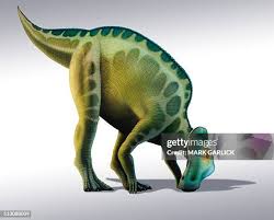 Bildergebnis für corythosaurus