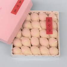 「珠千代」の画像検索結果