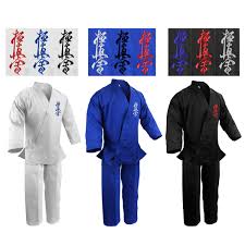 Image result for Kyokushin Karate