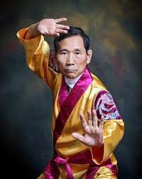 Image result for Kuk Sool Won Of Botesdale