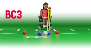Image result for Well Being and Leisure Team (Boccia)