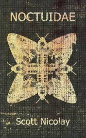 Attēlu rezultāti vaicājumam “Noctuidae”