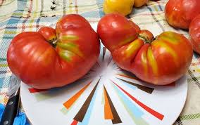 Afbeeldingsresultaat voor butter and bull heart tomato