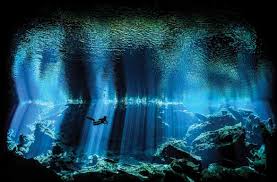 Image result for Falmouth Octopush Club