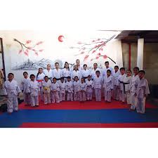 Image result for Kensei Karate Dojo