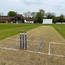 Image result for Wraysbury Cricket Club