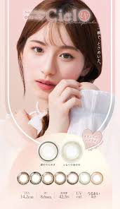 「ネオサイトワンデーシエル」の画像検索結果