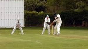 Image result for Oxshott Village Cricket Club