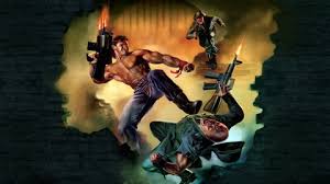 Image result for wolfenstein 3d