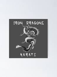 Image result for Hidden Dragon Karate-Do