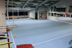 Image result for Heathrow Gymnastics Club
