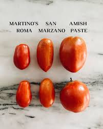 Afbeeldingsresultaat voor amish paste tomato